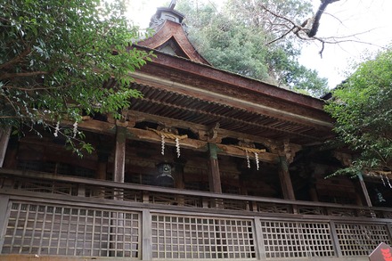 2504 ���ɵ��� �����ʬ���� 09