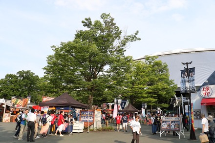 EF-S18-135mm����ץ�02