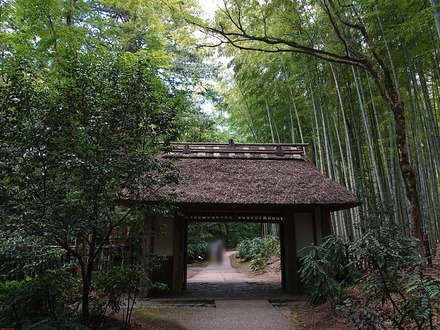 ¸æÅÂ¾ì ¤È¤é¤ä¹©Ë¼ »³Ìç