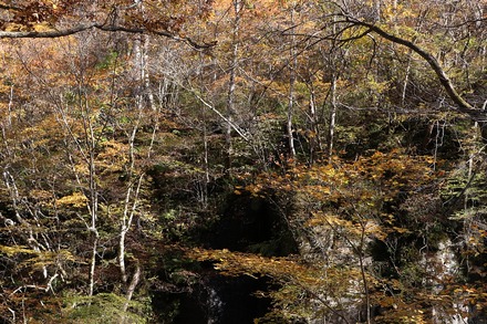 2410 �Ŀ� ������ ��������ή ��ή�����ץ�Х��ĥ��� 16