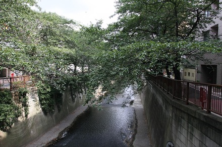 1308�ܹ�����ƻ01