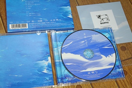 ������Ƿ CD ���� 02