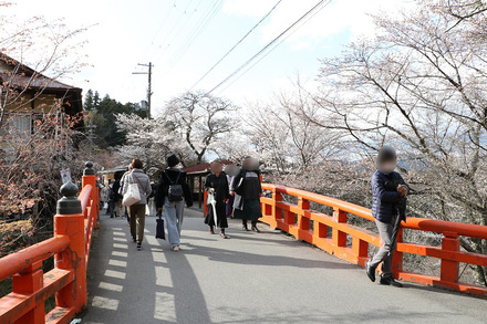 2504 ���ɵ��� ������ 04