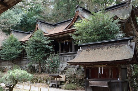 2504 ���ɵ��� �����ʬ���� 13