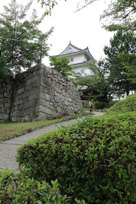 2406 ���� �ݵ� �ݵ��� 15