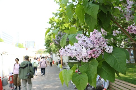 2305���� ���äݤ��饤��å��ޤĤ� 02