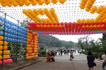 2310 ��� ������ ��ϡ���� 13