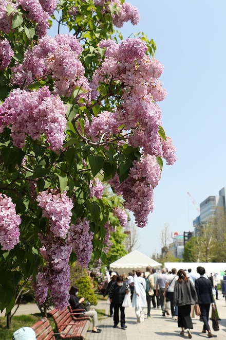 2305���� ���äݤ��饤��å��ޤĤ� 07