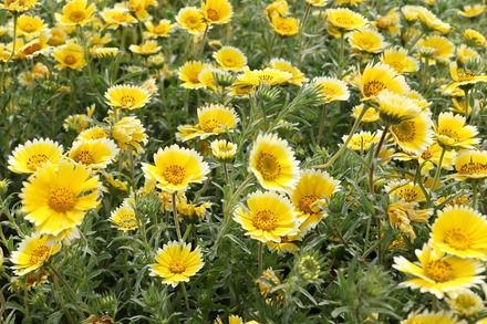 2304 ���쥤��ε� 06