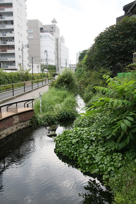 1308�ܹ�����ƻ10