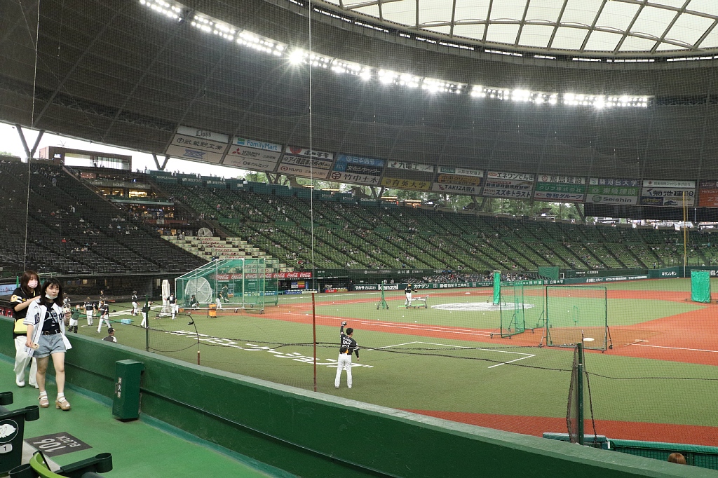 Vaioちゃんのよもやまブログ プロ野球ネタ