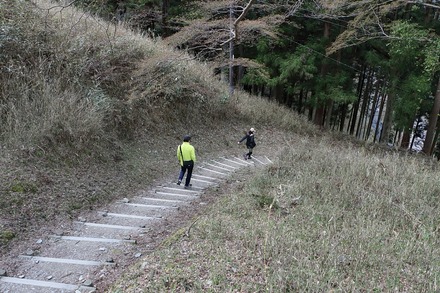 2504 ���ɵ��� ������ 10