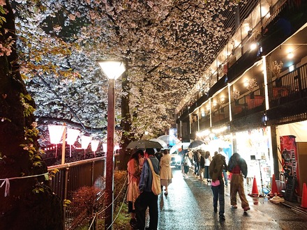 2303 �ܹ�����ޤĤ� 03