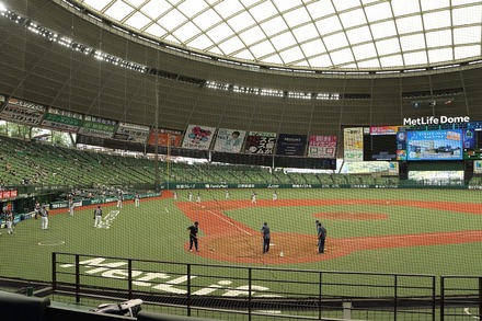 Vaioちゃんのよもやまブログ プロ野球ネタ