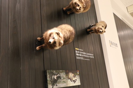 2412 ��� �������� ���蘆����ʤ���ˤ��Фβʳش� 07