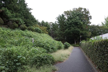 2310 ��� ���� Ǧ���� 01