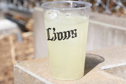 �Хå��䡼�ɥ֥å��㡼�� �ۡ���ᥤ�ɤ椺�����å���