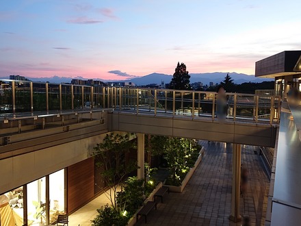 Ä®ÅÄ AFURI ¥°¥é¥ó¥Ù¥ê¡¼¥Ñ¡¼¥¯Å¹Á°¤«¤é¸«¤¨¤ë°¤É×Íø