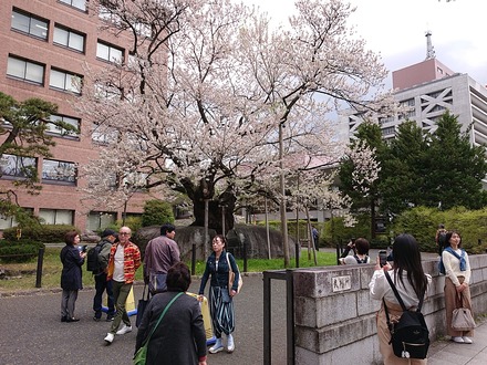 ��� ���� �г�� 01