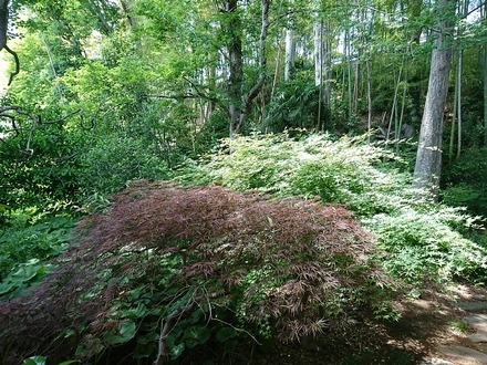 �������� ������ �� ��