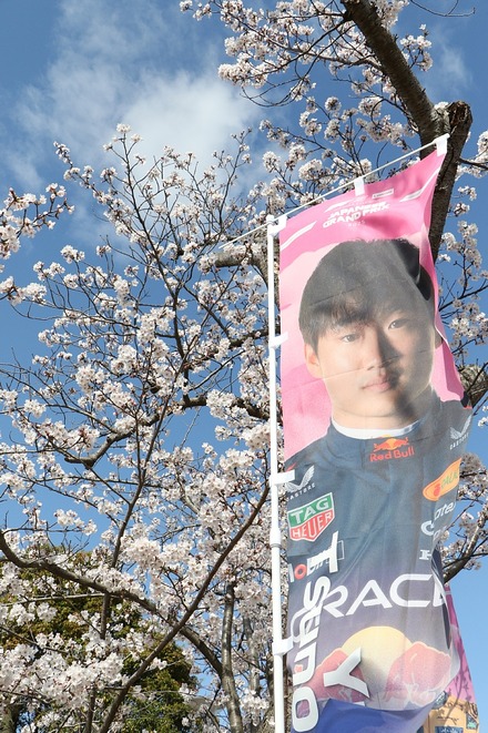 F1 2025����GP �ɥ饤�С��ΥΥܥ� 15