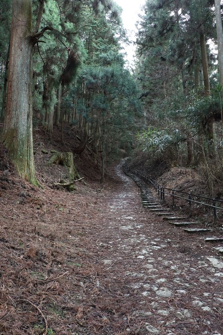 2504 ÆàÎɵÈÌî À¾¹Ô°Ã¤Ø¤ÎÆ» 01