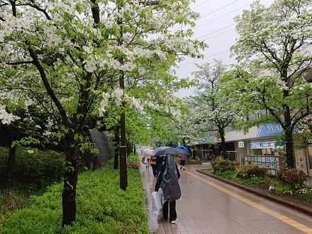 2304�ֿ��� 01