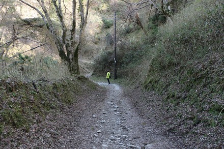 2504 ���ɵ��� ������ 11