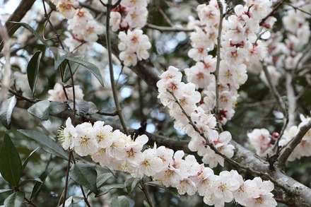 2504 ���ɵ��� �����ܤκ� 01