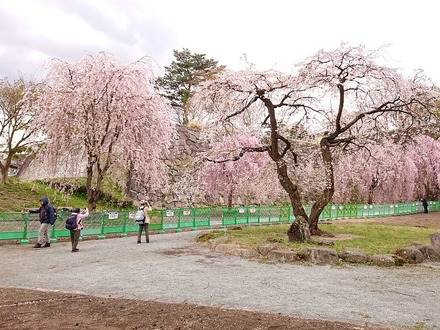 ��� ���� �������׸���λ޿��� 01