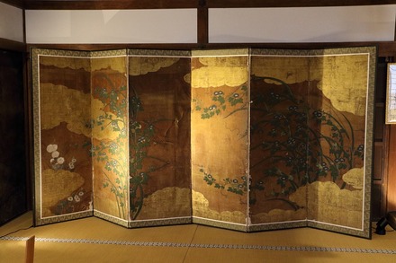 2504 ���ɵ��� �ȿ���� 14