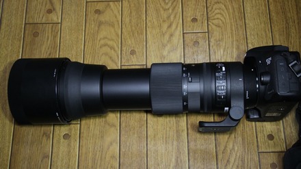 SIGMA 150-600mm DG OS HSM Contemporary 06