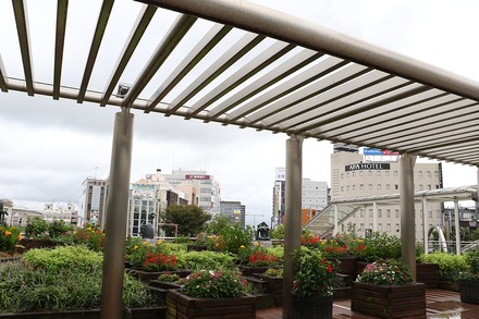 2309 ˭�� ����