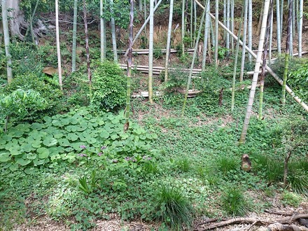 �������� ������ �� Ź�� ��