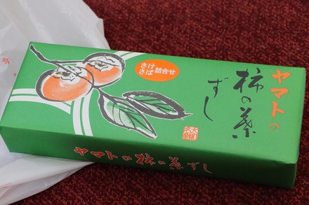 2504 ÆàÎɵÈÌî ³Á¤ÎÍÕ¼÷»Ê¥ä¥Þ¥È ³Á¤ÎÍÕ¤º¤· 02