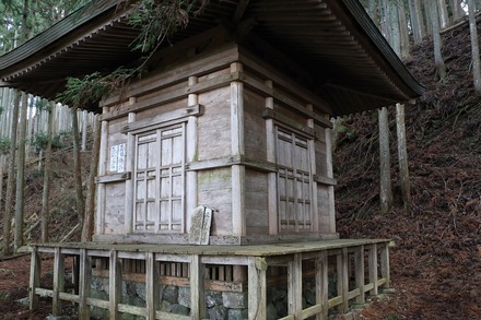 2504 ÆàÎɵÈÌî ¸»µÁ·Ð¤Î±£¤ìÅã 02