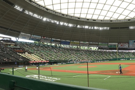 240616 �٥롼�ʥɡ���  vs ����DeNA ���ʤ����į�� 01