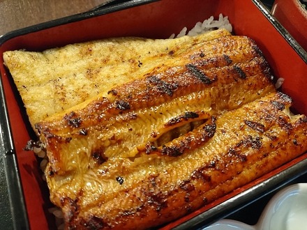 ��Τ��ʤ� ������Ź ���ʽš�������� 04