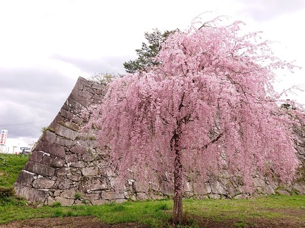 ��� ���� �������׸���λ޿��� 03
