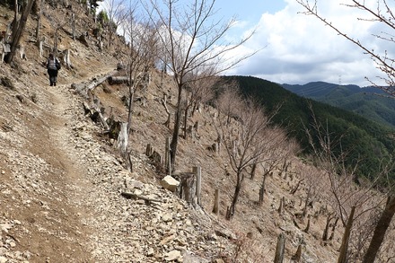 2504 ÆàÎɵÈÌî À¾¹Ô°Ã¤«¤é¤ÎÆ» 01