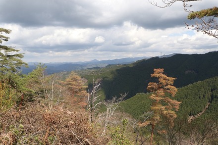 2504 ���ɵ��� ��뻳Ÿ˾�� 07