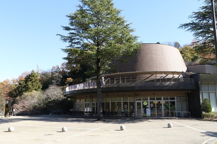 2412 ��� �������� ���蘆����ʤ���ˤ��Фβʳش� 12