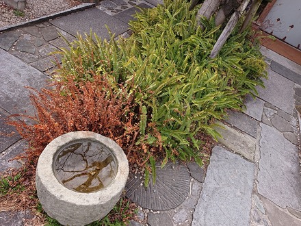 ��������� ����Ź ���Υ��֥���