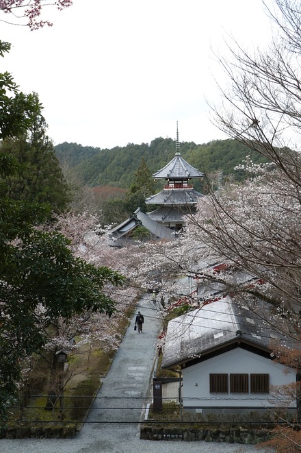 2504 ���ɵ��� �������� 09