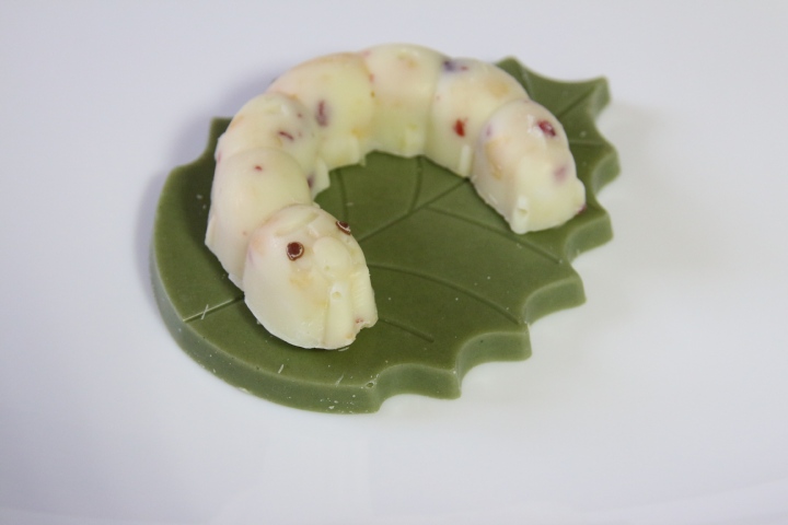 お土産 群馬 富岡製糸場 丸エイ食品 かいこの王国 お蚕様チョコレート Vaioちゃんのよもやまブログ