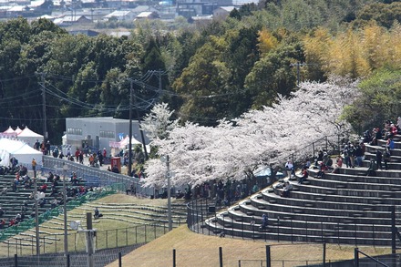 F1 2025����GP Q������ɤ����į�� 08