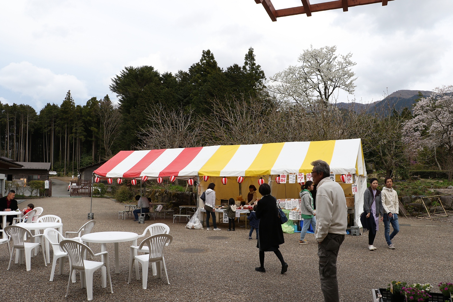Vaioちゃんのよもやまブログ 今日の一枚