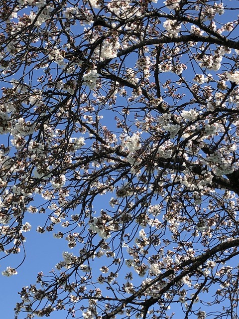 2E4BD09C-5B91-4428-ACF3-DFD9893D5516