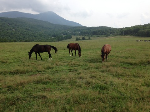 3414E409-4934-46E5-8DA0-07E54B54A6DF