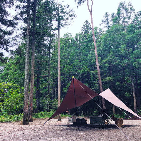 E4E09EAF-780D-4F7A-93A8-83FA1AA55AE4